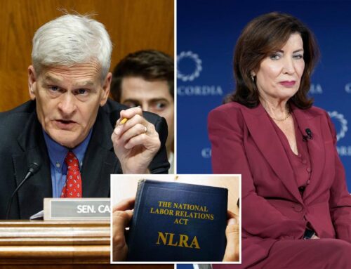 Exclusive | Sen. Bill Cassidy claims Hochul hurting workers with unconstitutional…