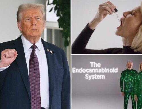 Cannabis stocks surge after Trump posts video touting Medicare…