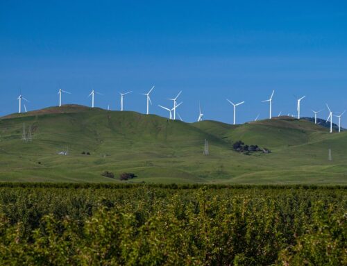 EDP Says US Renewables ‘More Stable’ After Offshore Wind Setback