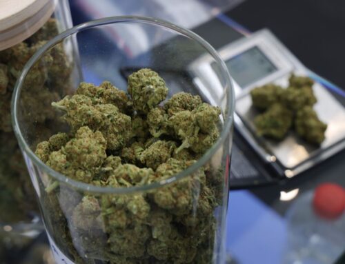 Cannabis Stocks Jump After Trump Posts CBD Promotional Video