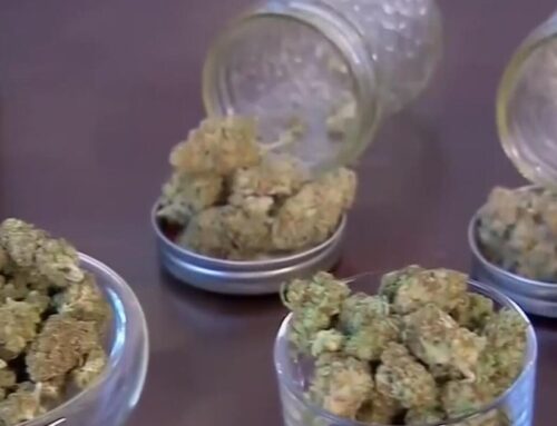 Cannabis dispensary operator celebrates new law halting hike in excise tax