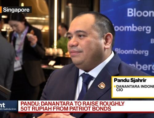 Indonesia Wealth Fund CIO on Investment Strategies