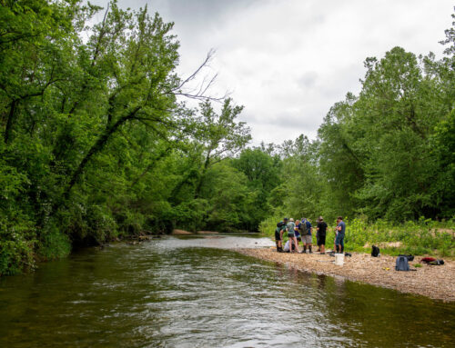 Q&A about S&T’s environmental science program