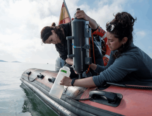 How Spain is turning an iconic lagoon from “green soup” into a natural oasis