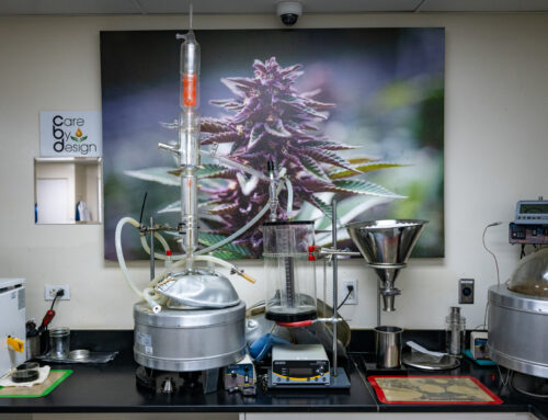 California Cuts Tax for Legal Weed, Youth Groups Cry Foul