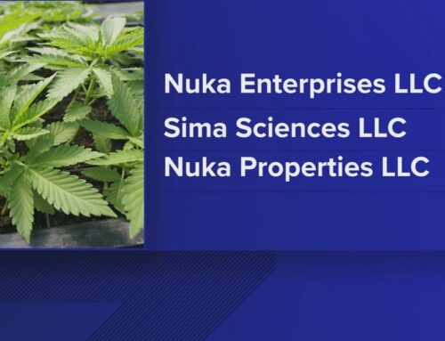 3 cannabis companies to cease operations, pay $400,000 fine after settlement, says attorne