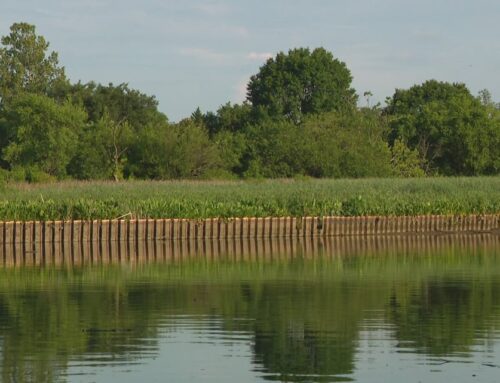 Washington Gas agrees to contain toxic pollution seeping into Anacostia River, attorney ge