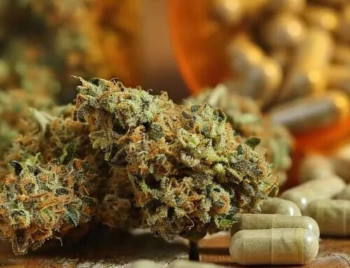 Cannabis Isn’t the Cure for Chronic Pain