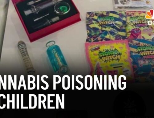 What data shows about accidental cannabis ingestion in children