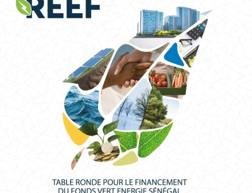 Senegal : launch of the Green Energy Fund (REEF) set for October 8, 2025
