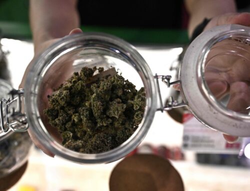 Cannabis stocks surge after Trump endorses cannabidiol for senior healthcare
