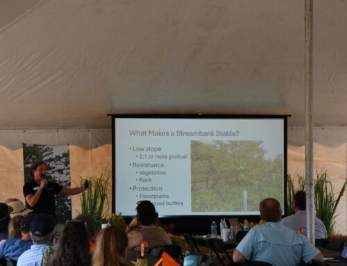 Restoring riparian zones after Helene