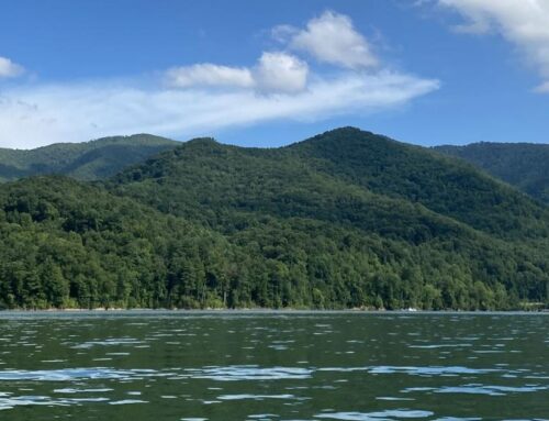 How waterways are faring one year after Helene