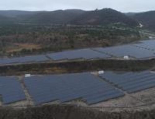 Türkiye repurposes idle coal mines for renewable energy, reforestation