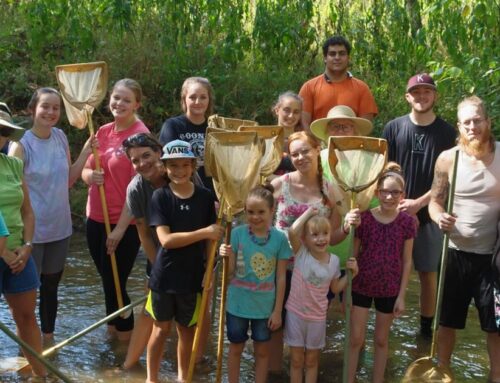 How you can help restore public lands this week