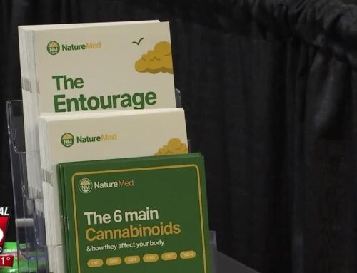 Hundreds turnout for medical cannabis registration fair