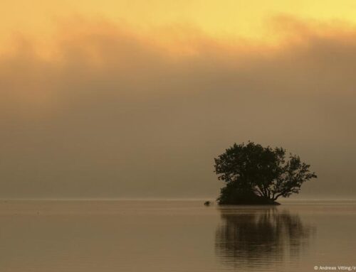 Environmental damage threatens prosperity in Europe