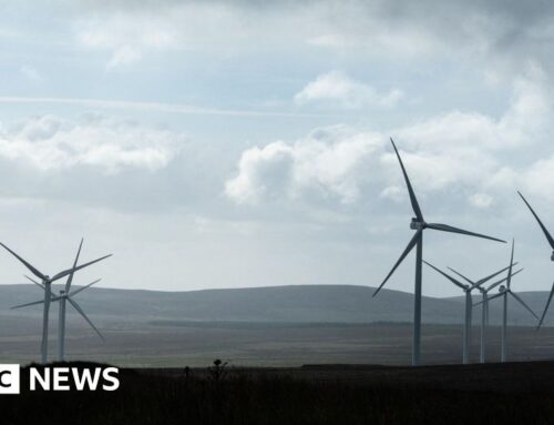 Renewable energy: Stormont proposal could reduced bills
