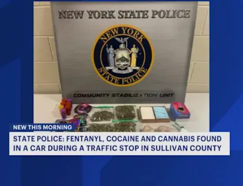 State police find fentanyl, cocaine, cannabis and drug paraphernalia during Mamakating tra