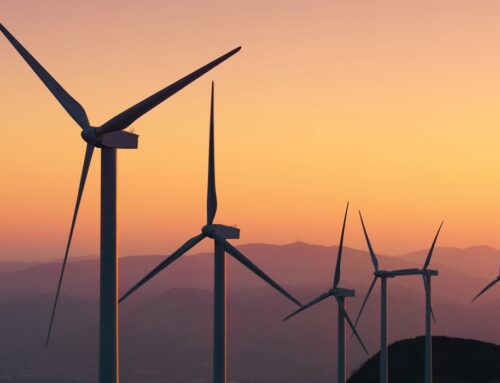 Here’s Where Clean Energy Jobs Grew the Most in 2024