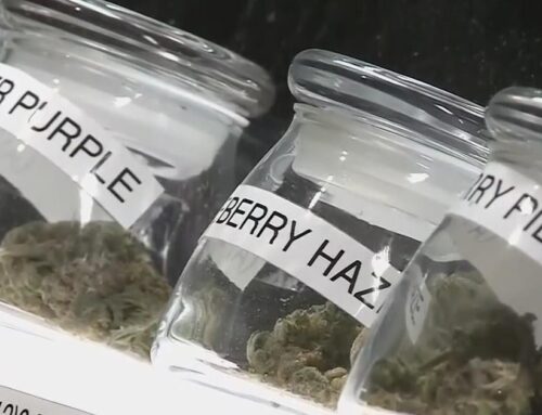 Bay Area cannabis business grateful for Gov. Newsom reversing tax hike