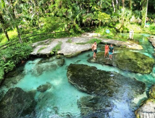 Should a ‘Florida Springs National Park’ be created?