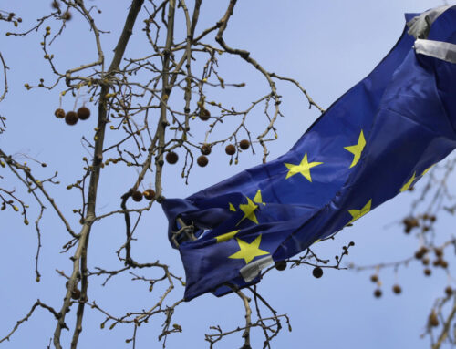 Europe’s climate progress overshadowed by worsening loss of nature