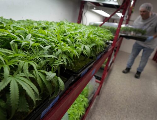 West Virginians are turning to medical cannabis, but there are limits. Here’s what to know