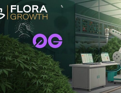 Cannabis Company Flora Growth Makes $401 Million Bet on AI Technology