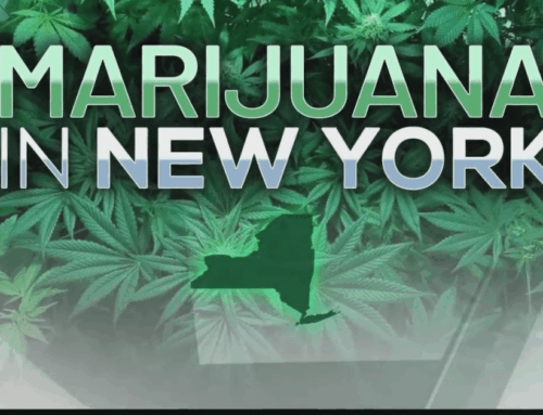 Court order: Weed shops continue near New York schools