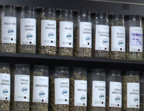 “Pot for pot:” Michigan cannabis shops react to 24% wholesale tax on Marijuana