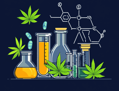 Carrying Safes, Driving Cars Through Doors: The World of Cannabis Claims, Exposures And Ri