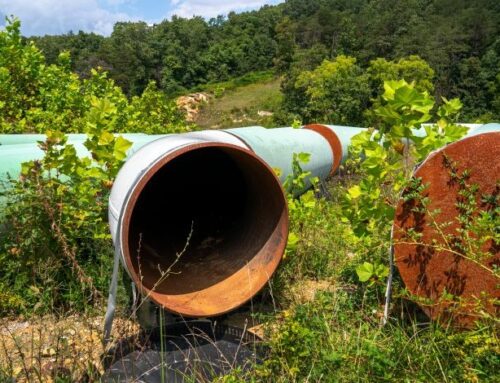 A Lack of Coordination Threatens Environmental Policy