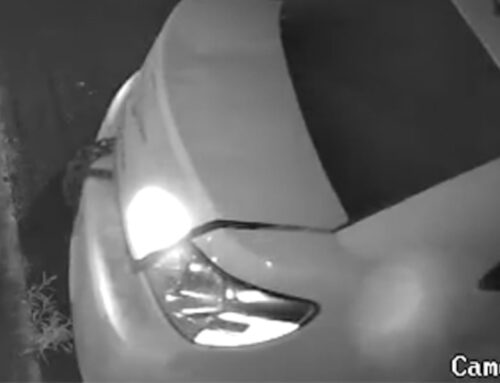 Police search for suspects who stole ATM from cannabis dispensary