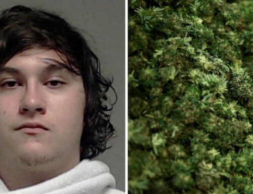 ICE Sniper Was Stoner ‘All About the Weed’