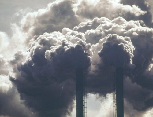 Trump’s Energy Department forbids staff from saying ‘climate change’ or ‘green’