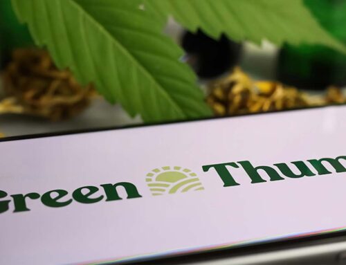 Cannabis Stocks Surge as Green Thumb and Tilray Reveal Bold Moves