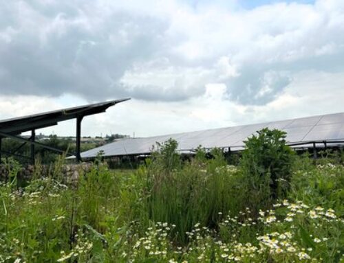 Infinis accelerates solar and storage growth with flagship Ford Oaks and Oaklands projects