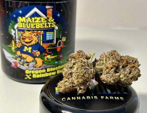 Your guide to the best cannabis in Michigan for the fall