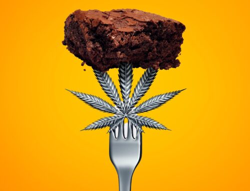 Cannabis Use Quadruples Diabetes Risk, Study of 4 Million Adults Finds
