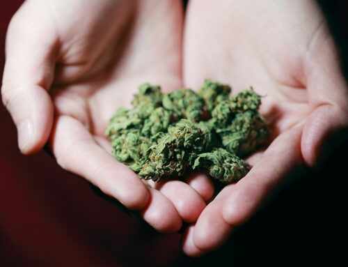 Why some medical cannabis patients use illegal products
