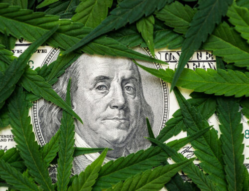 Michigan’s Cannabis Industry at Risk: Why HB 4951 Must Be Rejected | stupidDOPE