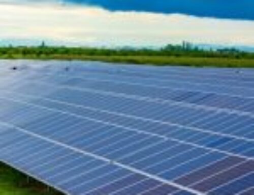 Noor Chad 50MW solar plant inaugurated in N’Djamena, Chad