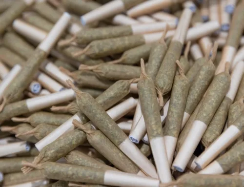 India tariff threatens cannabis industry’s fastest-growing segment