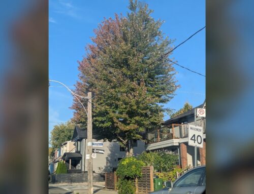The fall is ‘going to continue to give it to us,’ says Environment Canada climatologist as