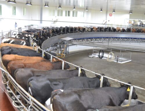 Environmental agency approves permit for large eastern North Dakota dairy