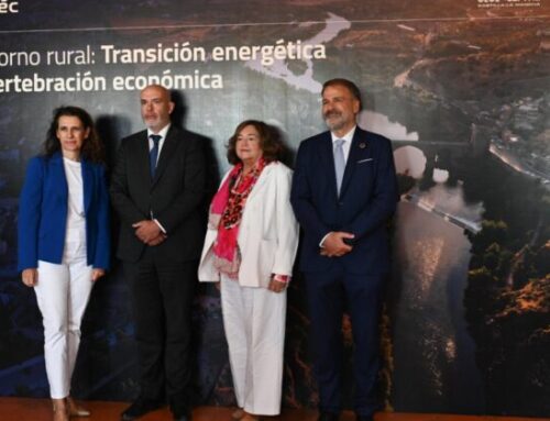Rural areas generate 84% of renewable energy in Spain and are becoming strategic areas for