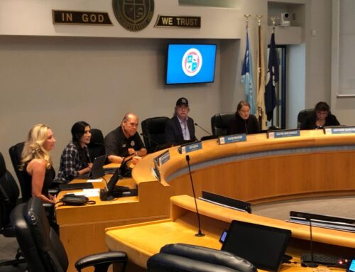 CEA discusses procurement strategies with long term 100% renewable goal