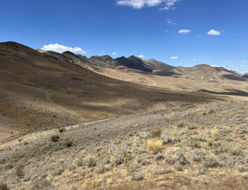 One of the first to benefit from Trump’s cuts to environmental review: a Nevada gold mine