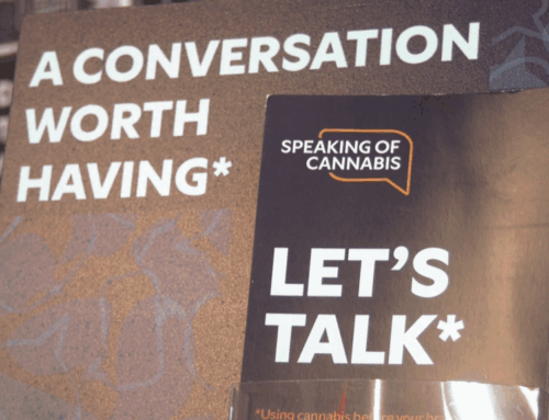 Speaking of Cannabis campaign underway to help adults and young people understand more